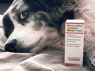 novalgin-hund-dosierung